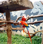 Julong Birdpark